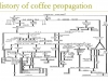 PROPAGAZIONE DEL CAFFE'